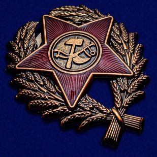 Наградной знак Красного командира (1918-1922 гг.) - общий вид