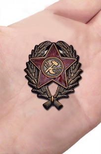 Наградной знак Красного командира (1918-1922 гг.) - вид на ладони