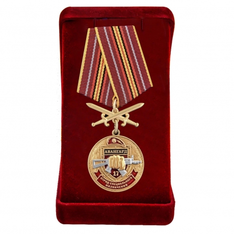 Нагрудная медаль За службу в 17-м ОСН Авангард - в футляре