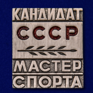 Знак Кандидат в Мастера спорта СССР №493