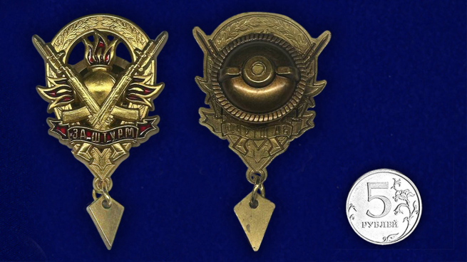 Нагрудный знак "За штурм"