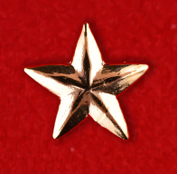 Нагрудный знак "Звезда"