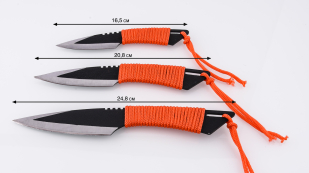Купить ножи Perfect Point RC-270-3