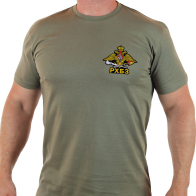 Однотонная мужская футболка с эмблемой РХБЗ