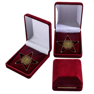 Орден "30 лет вывода Советских войск из ДРА" с наградным комплектом