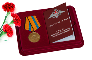Памятная медаль Участнику борьбы со стихией на Амуре
