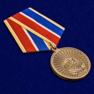 Памятная медаль Выпускнику Кадетского Корпуса - общий вид
