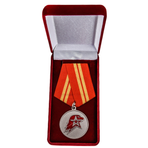 Памятная медаль Юнармии 2 степени