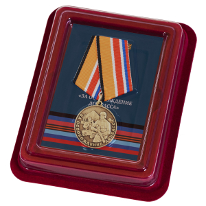 Памятная медаль Z "За освобождение Донбасса"