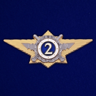 Памятный знак классного специалиста МВД России (специалист 2-го класса) - общий вид