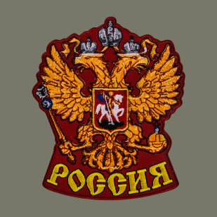 Патриотическая футболка с символикой России.