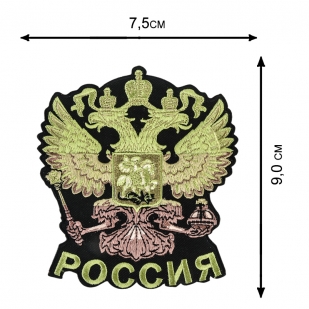 Патриотическая мужская футболка с гербом России