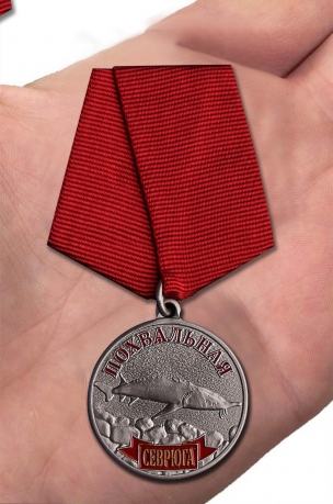 Похвальная медаль Севрюга - вид на ладони