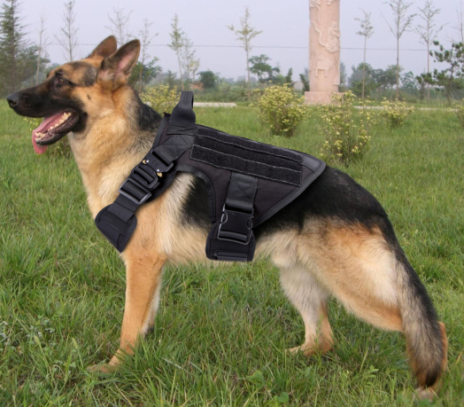 Профессиональный тактический жилет для собак Icefang Army Style Cobra (черный)
