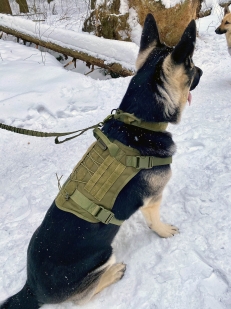 Разгрузочный жилет для собак K9 Tactical (хаки-олива)