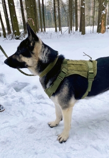 Разгрузочный жилет для собак K9 Tactical (хаки-олива)