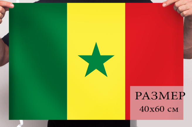 Сенегальский флаг 40x60 см