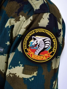 Шеврон ВВ 22 ОБрОН "Кобра"