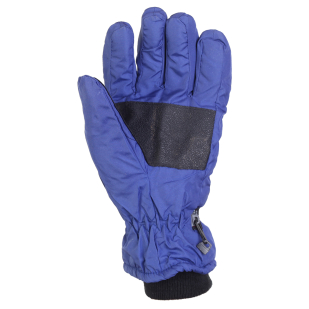Синие горнолыжные перчатки Termo Plus