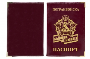 Стильная обложка на паспорт "Погранвойска"