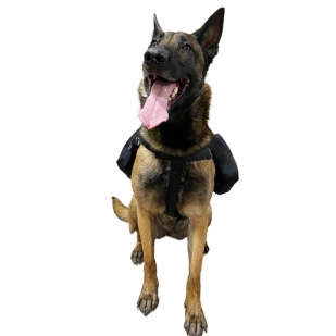 Тактический жилет на служебную собаку с аптечкой (черный)