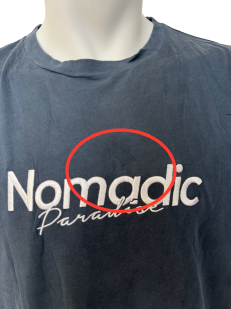 Темно-синяя мужская футболка NOMADIC с белым принтом на груди