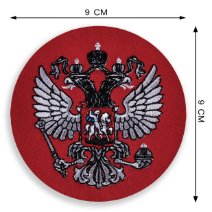 Патриотическая мужская толстовка с вышитым гербом России.