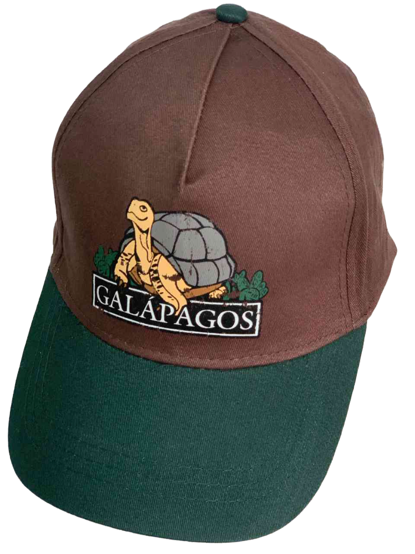 Топовая кепка с изображением черепахи GALAPAGOS №6197