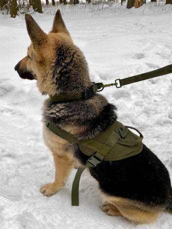 Тренировочный жилет для собак Molle Patrol K9 (хаки-олива)