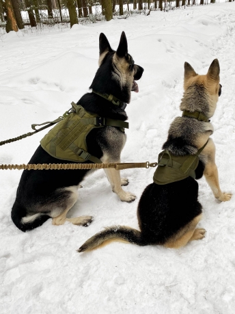 Тренировочный жилет для собак Molle Patrol K9 (хаки-олива)