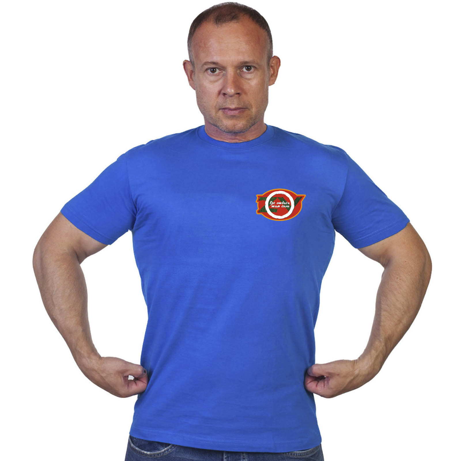 Васильковая футболка с термопринтом "Где отвага, там сила"
