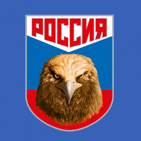 Васильковая футболка с термотрансфером Россия