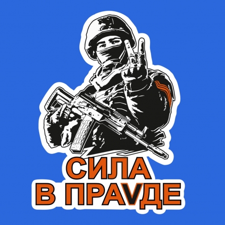 Васильковая футболка с термотрансфером Сила в праVде