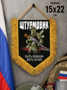 Вымпел Штурмовик с девизом "Быть воином - жить вечно"