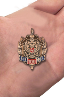 Юбилейный знак к 100-летию ВЧК-ФСБ в нарядном футляре из флока - вид на ладони