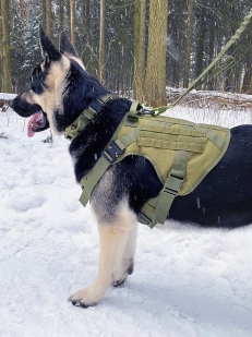 Жилет для дрессировки служебных и охотничьих собак Icefang Army Style Cobra (хаки-олива)