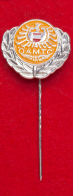 Значок "Австрийский автомобильный, мотоциклетный и туристический клуб ÖAMTC" (серебро)