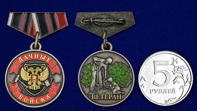 Купить мини-копию медали дачника "Ветеран"