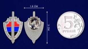 Значок "Щит ДНР" - сравнительный размер