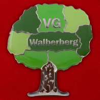 Значок города Вальбергера