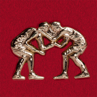Значок из спортивной коллекции "Борьба"