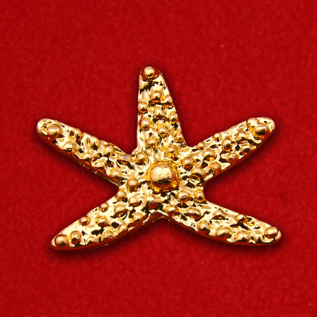 Значок "Морская звезда"