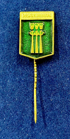 Значок на иголке Druskininkai с гербом