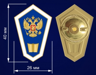Знак Об окончании гуманитарного ССУЗа РФ