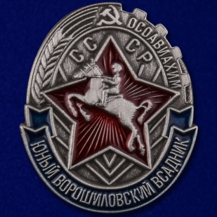 Знак Юный Ворошиловский всадник Осоавиахим СССР