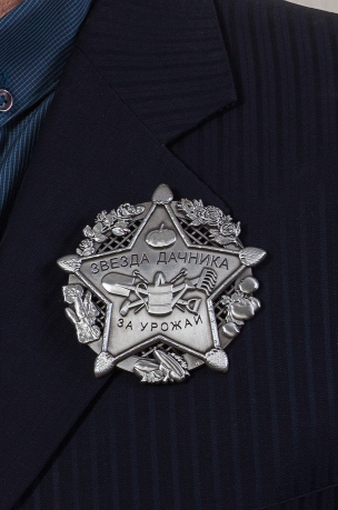 Знак "Звезда дачника" на лацкан пиджака