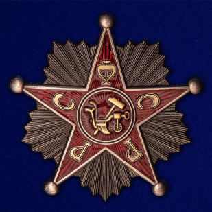 Знак "Командир РККА" РСФСР 1918-1922 гг. №2498